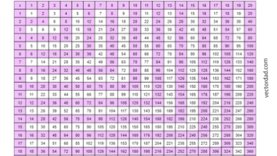 multiplication chart 1-20